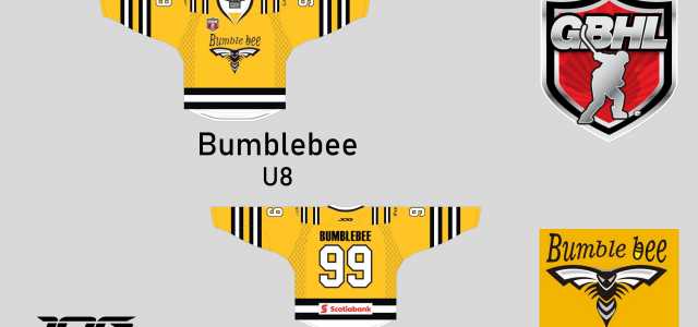 U8 Bumblebee jerseys 