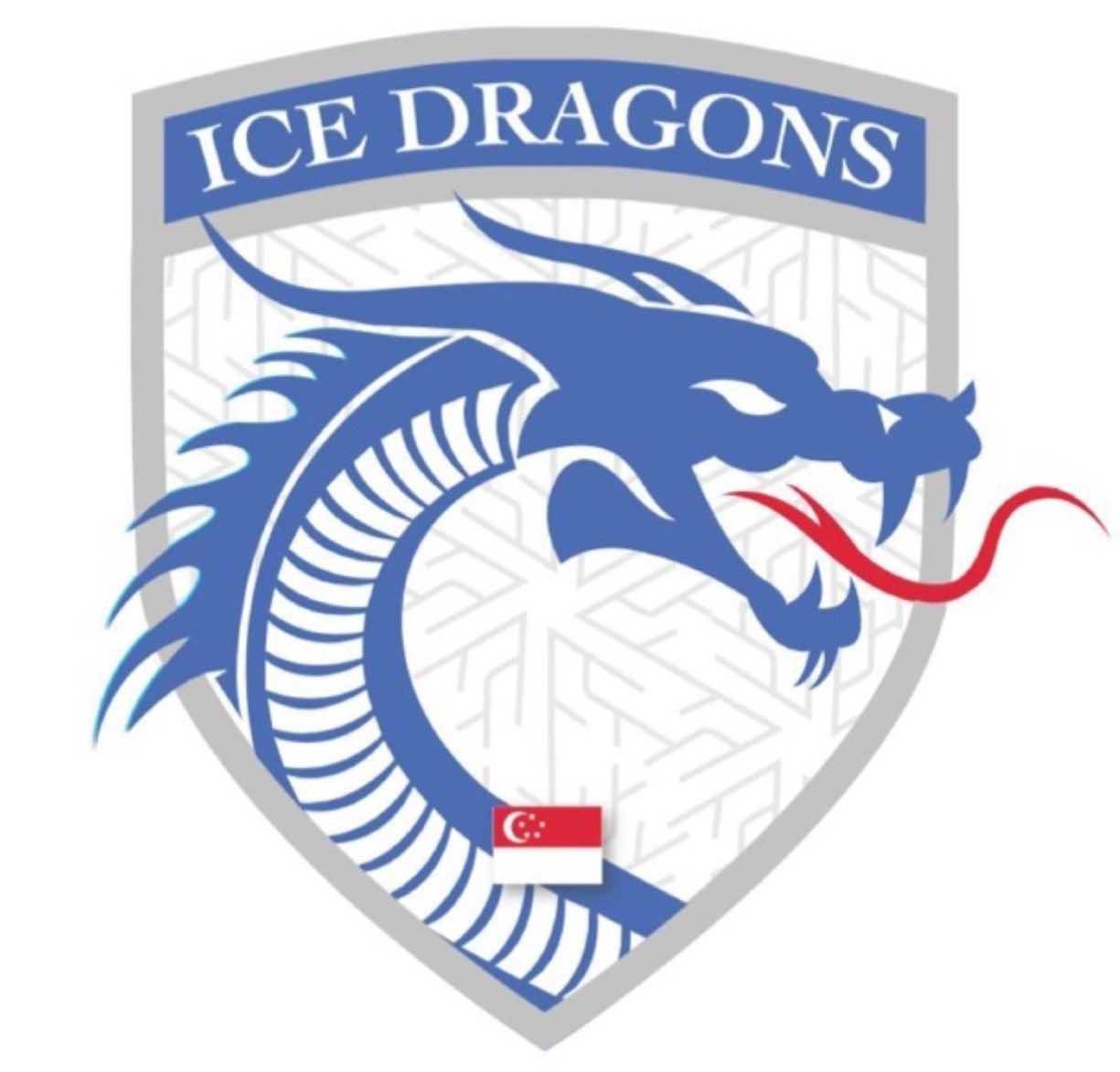 SG Ice Dragons