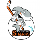 Mini Sharks